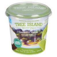 Tree Island - Greek Yogurt Coconut Lime 6.5% M.F., 325 Gram