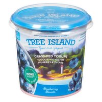 Tree Island - Greek Yogurt Grass Fed Blueberry, 350 Gram