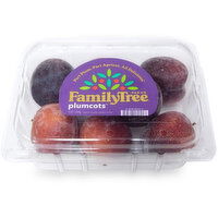 Plumcots - Plumcots Clamshell, 1 Each