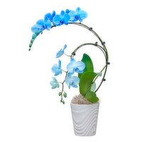 Orchid - Wave Gemstone, 5 Inch, 1 Each