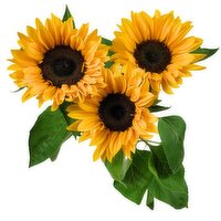 Sunfower - 3 Stem Bunch, 1 Each