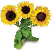 Sunflowers - 3 Stem, Fresh Cut Bunch, 1 Each