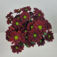 Spray Mums - 4 Stem, 1 Each