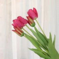 Bouquet - 5 Stem Dutch Tulip, 1 Each
