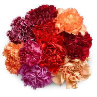 Carnations - Assorted Colours Bouquet, 10 Stem, 1 Each