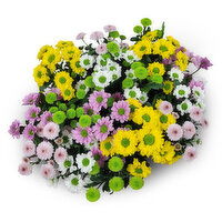 Santini - Mum Floral Assorted Bouquet, 1 Each