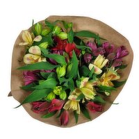 Flowers - Alstroemeria 10 Stem, 1 Each