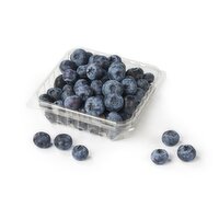 BLUEBERRIES - Organic, 170 Gram