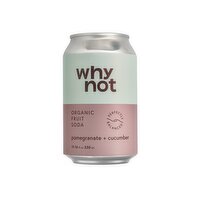 why not - Pomegranate & Cucumber Organic Fruit Soda, 330 Millilitre