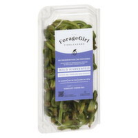 Forage Girl - Fiddlehead Greens Wild Harvested, 227 Gram