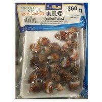 Frozen - Cooked Sea Snail, 360 Gram