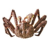 Save-On-Foods - O/W Live King Crab, 1 Pound