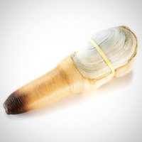 Save-On-Foods - O/W Live Geoduck Clam, 1 Pound