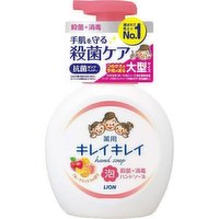 Lion - Bubble hand wash Fruit scent, 500 Millilitre