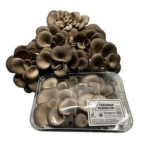 Friendship - Organic Oyster Mushroom, 235 Gram