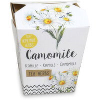 Homemade Herbs - Camomile Tea Kit, 1 Each