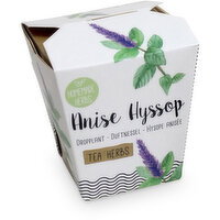 Homemade Herbs - Anise Hyssop Tea Kit, 1 Each