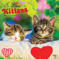 I Live Kittens - 2025 16 Month Calendar, 1 Each