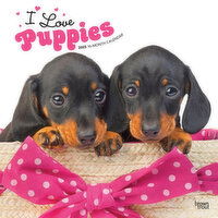 I Love Puppies - 2025 16 Month Calendar, 1 Each