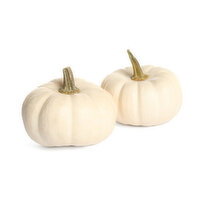 Mini Pumpkins - Snowball White, 1 Each