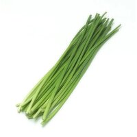 Garlic - Sprouts, 1 Each