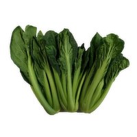 Fresh - TAKU CHOY, 1 Pound