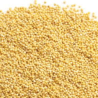 Millet - Organic Hulled, Bulk, 100 Gram