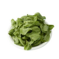 Extra - Fancy Pea Tips, 1 Pound