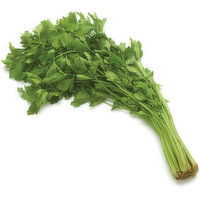 Chinese - CELERY, 454 Gram