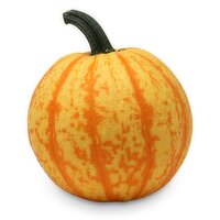 Pumpkin - Fireball, 1 Each