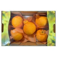 Korean Jeju - Hallabong (Depokon) Mandarin, 2 Kilogram