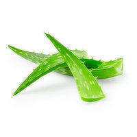 Fresh - Aloe Vera Leaves, 1 Pound