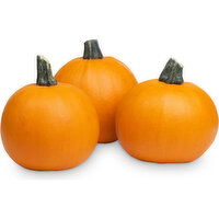 Pumpkin - Squash, Pie Sized, 1 Each