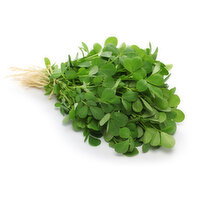 Fenugreek - Methi, 1 Each