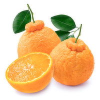 Fresh - Sumo Mandarin, 1 Pound