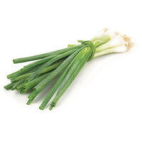 Onions - Green Scallions, Bunch, Fresh, 1 Each