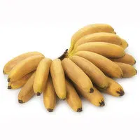 Bananas - Baby Nino Each, Fresh Sold in Singles