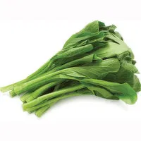 Fresh - YU Choy Sum, 454 Gram