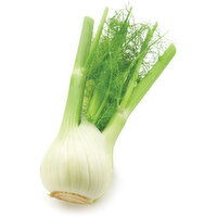 Anise - Fennel, 510 Gram