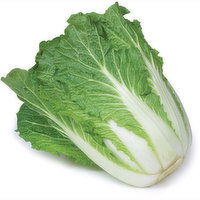 Cabbage - Sui Choy, Fresh