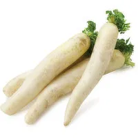 Radish - Daikon, Lo Bok, 645 Gram