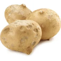 Jicama - Root