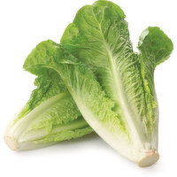 Lettuce - Romaine, Fresh, 1 Each