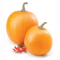 Pumpkin - Carving Squash, 1 Each