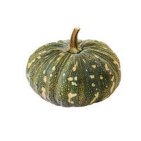 Squash - Buttercup "Kabocha", Fresh