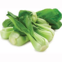 YU - Bok Choy Shanghai Mue, Fresh, 454 Gram