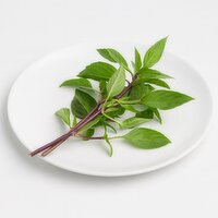 Thai Basil - Fresh, Each, 1 Each
