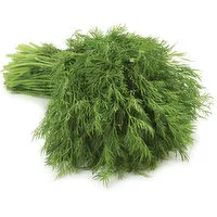 Dill - Baby, Bunched