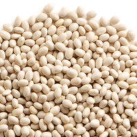 Beans - Navy Bean, Small White, Bulk, 100 Gram