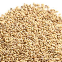 Barley - Pot, Bulk, 100 Gram